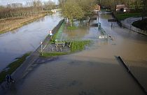 A cyclist stops to look at flood waters on a property in Geraardsbergen, Belgium, Thursday, Jan. 4, 2024